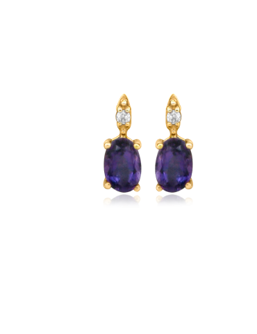 Jeweltime 14kt Guld ørestikker