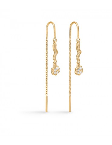 Studio Z - forgyldte...