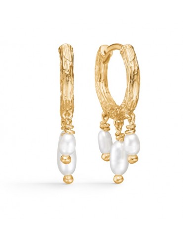 Studio Z - forgyldte...